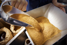 Laden Sie das Bild in den Galerie-Viewer, 6x Senf "nach Wunsch" (Set) Herbst / Winter