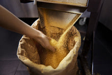 Laden Sie das Bild in den Galerie-Viewer, 6x Senf "nach Wunsch" (Set) Herbst / Winter