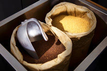 Laden Sie das Bild in den Galerie-Viewer, Vom Walde komm ich her: Senf mit Apfel, Mandelkern & Tannenspitzen (saisonal Winter)