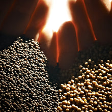 Laden Sie das Bild in den Galerie-Viewer, Senfsaat, ganz, schwarz (brassica nigra), regionaler Anbau